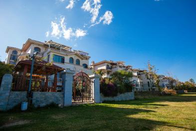 1576512452794_394X262_2