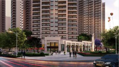 1658969626725_394X262_2